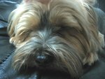 7.6.2005 BoBo (8)