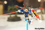 DSC07452(1)