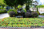 DSC09545
