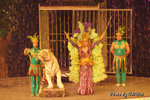 DSC03424(1)