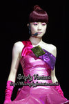 DSC02431(1)