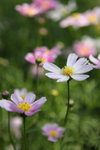 IMG_0629