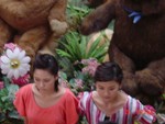 Fotomax1