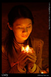0dsc_2842