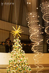 IMG_7862_20071208-s