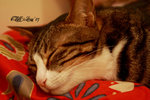 IMG_5750_20070701