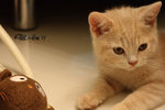 IMG_6495_20070930