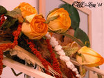 DSCN1054_20040305