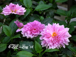 IMG_0040_20040409