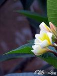 20040523_0125