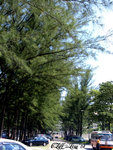 _RW_0300_20040807