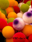 DSCN1057_20040305