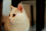 IMG_5772_20070701