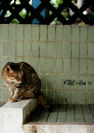 IMG_5630_20070629