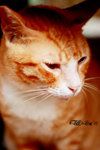 IMG_5683_20070629