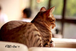 IMG_4635_20070609