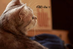 IMG_4763_20070609