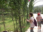 CIMG0245
