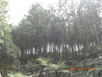 CIMG0247