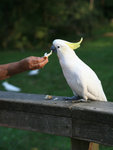 IMG_9065