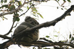 IMG_4810a