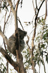 IMG_4814a