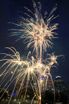 IMG_7965a