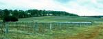 Hunter Valley
IMG_2369