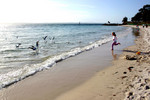 Port Stephens
IMG_2415
