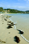 Port Stephens
IMG_2434