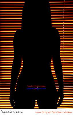 Lines and Curves