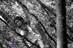 5D_03114bw