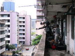 P1000033