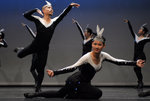DSC_8284_1_web