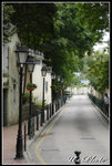 macau042