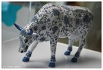 cow02