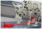 cow06