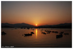 20090131_26