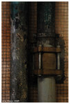 NgauTauKok07
