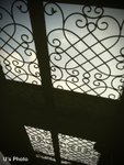 IMG_0489