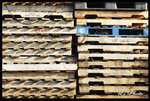westen_district_02