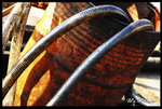 westen_district_04