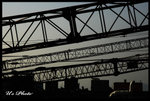 westen_district_05