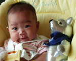 �n�b��Bear Bear��