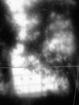 IMG_0255
