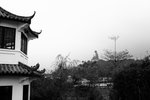 IMG_6760