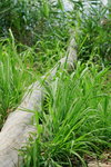 

CUG3_05