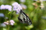 IMG_7351
