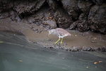 IMG_7262