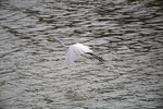 IMG_7300